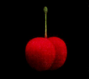 浜口陽三 ロビーナのさくらんぼ | 絵画など美術品の販売と買取 | 東京