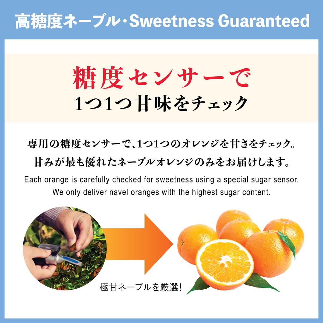ｶﾘﾌｫﾙﾆｱ産 高糖度ネーブルオレンジ【2/3月～4月】 – Oritz Shop