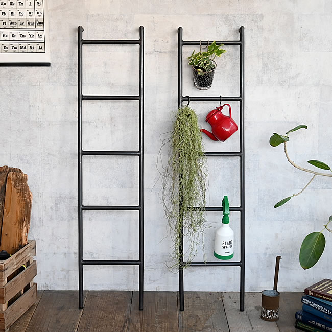 IRON ディスプレイラダー | ゼネラルストア オルネ