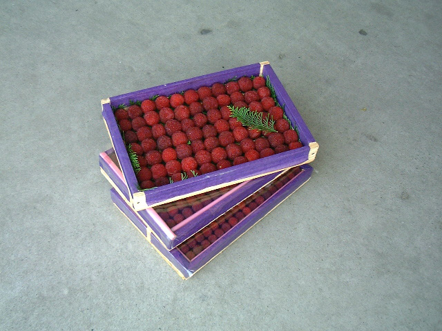 やまもも（山桃）ズイコウ、広東、亀蔵、中山など | オレンジハートの