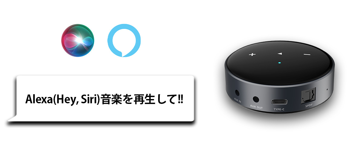 wiim mini 音楽コントロールデバイス USB-C AUX出力 wiim mini 音楽