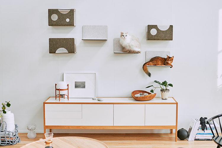 マグネット式キャットウォーク 猫壁－にゃんぺき 【LIXILオンライン