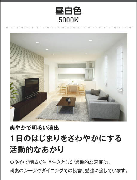 KOIZUMI コイズミ照明 高気密ダウンライト AD7000W50 | 商品紹介