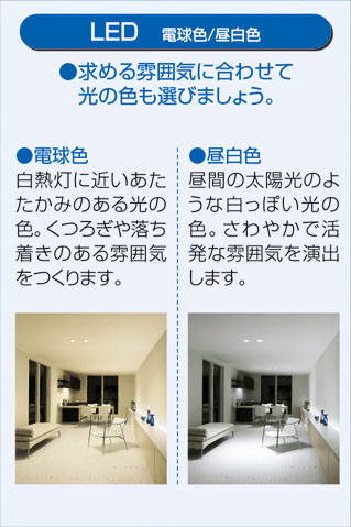 DAIKO 大光電機 LED DECOLED'S(LED照明) ダウンライト DDL-8226WW