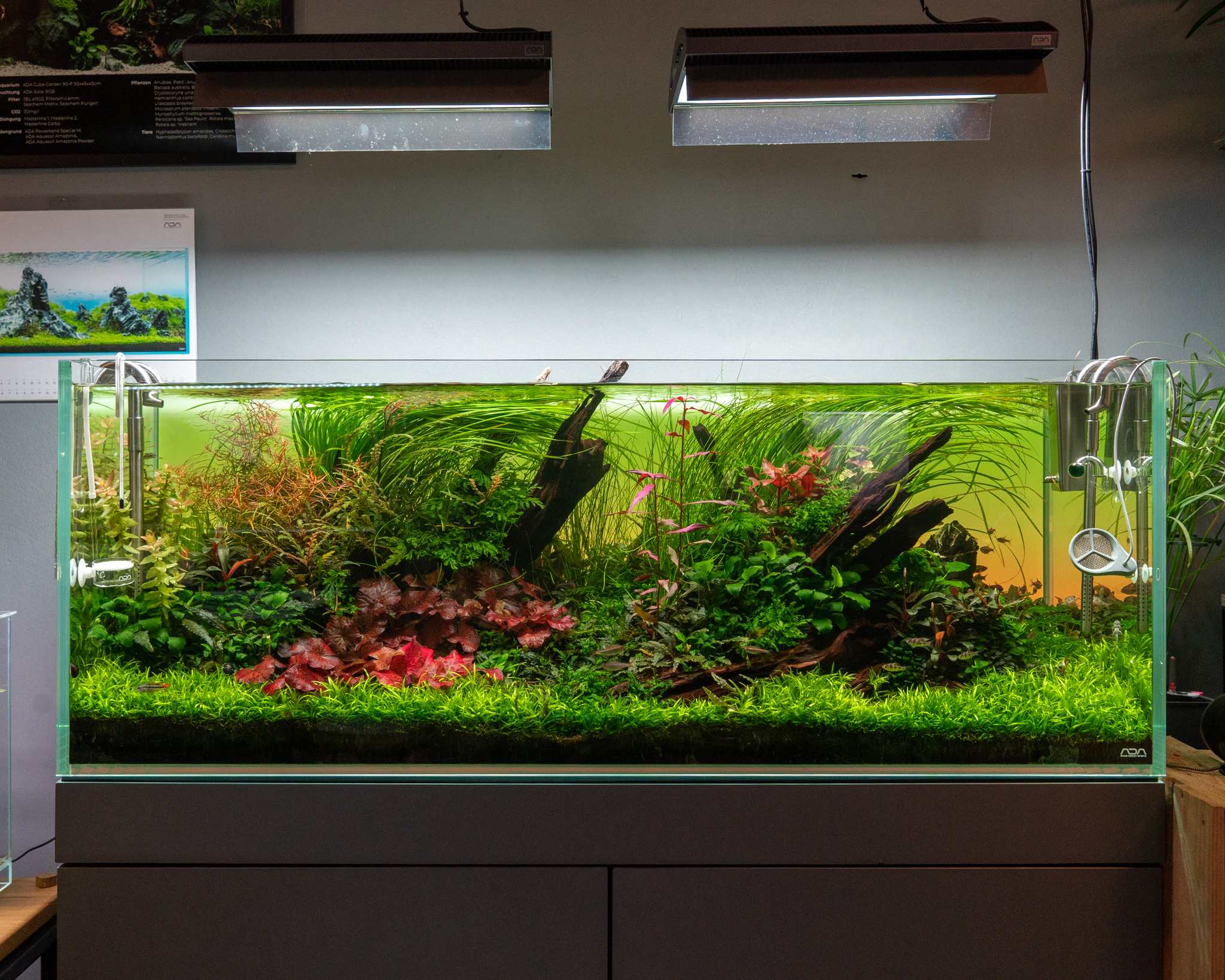 ADA NAG-150W メタハラ グリーン ソーラー1 ADA NAG-150W メタハラ