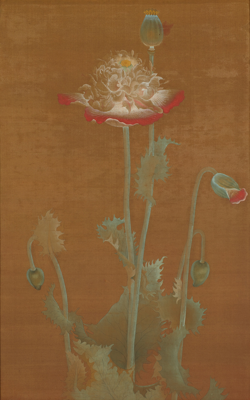 日本画 徳岡神泉作 花 10号 絹本 日本画 徳岡神泉作 花 10