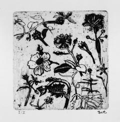 中本達也銅版画全集I」より 10. 小さな花 - 東京国立近代美術館