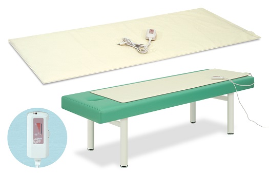 アースライト社Spirit 施術ベッド （ヘッドレスト&キャリーケース付