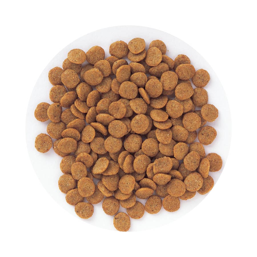 フィッシュ&ポテト | 株式会社森乳サンワールド | 森永乳業グループ