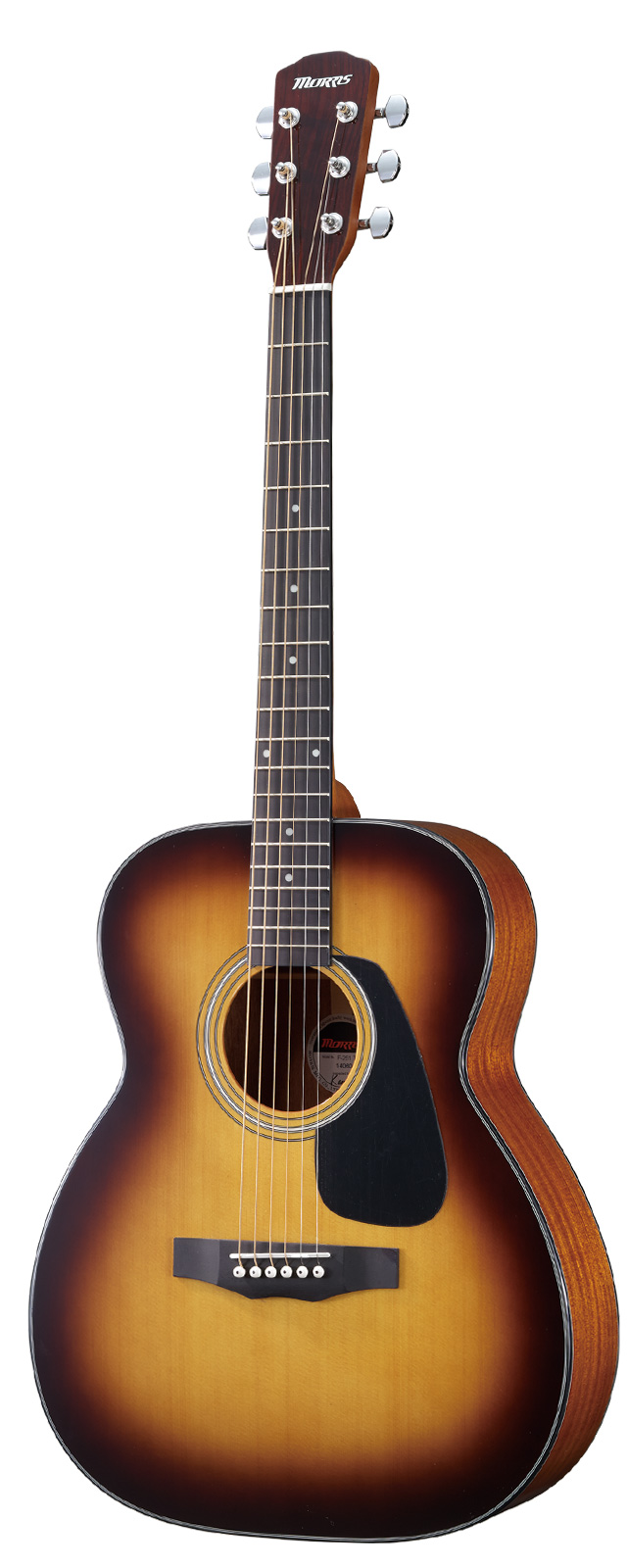 F-251 | 生産完了品 | MORRIS GUITARS モーリスギター