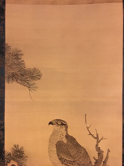 掛け軸、鷹に梅の図 掛け軸、鷹に梅の図 掛け軸、鷹に梅の図 森蘭斎 梅