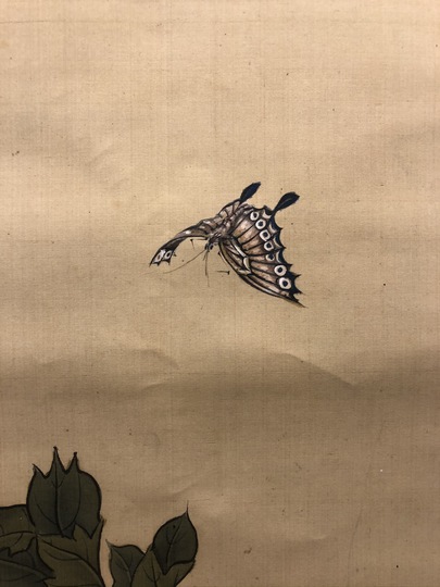 真作】【複製】掛軸 谷文晁 複製画 花鳥図 秋 日本画の雅趣 箱