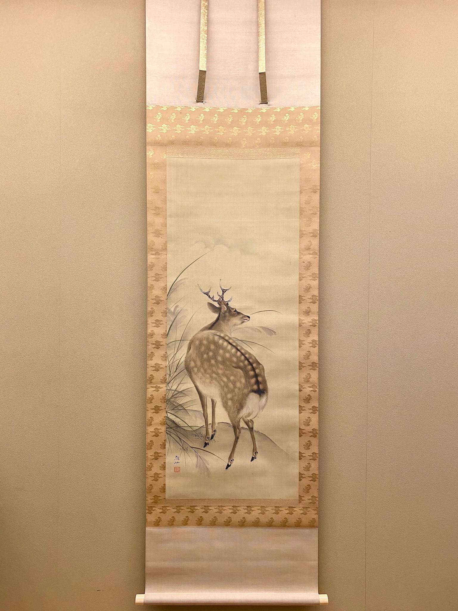 掛け軸 鹿さん…哀愁ダダ漏れ。。。 木箱付き 掛け軸 鹿さん…哀愁ダダ