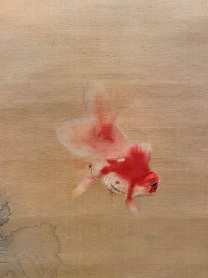 西村五雲 金魚｜古美術・掛け軸の販売・買取・鑑定-松本松栄堂