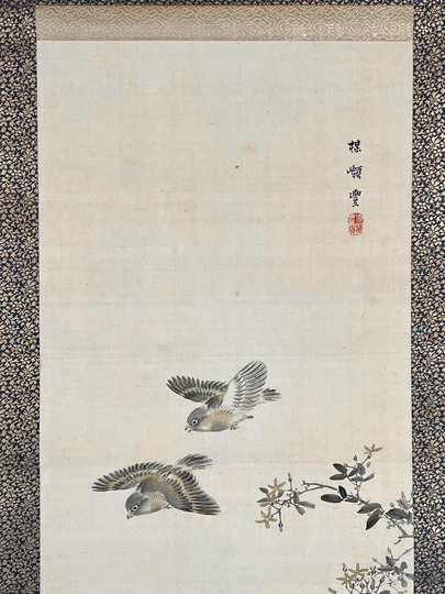 真作】絵画 滝和亭 日本画 画帳外し 秋草図 花鳥図 美麗な彩色額 Y45