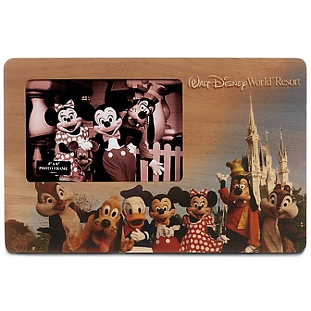 Disney Picture Frame - Walt Disney World - Disney Characters