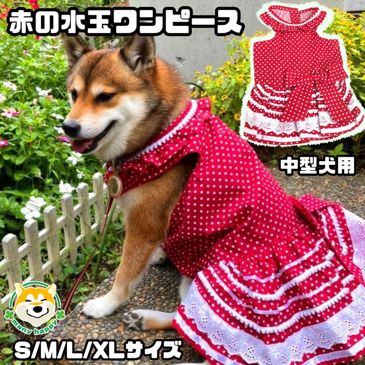 おしゃれさんワンピース ∞TuTu∞ クリスマス 犬服 ハンドメイド