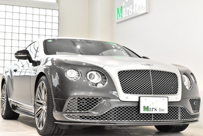 1/18 ベントレーコンチネンタルGT3-Rマットグレー 品質管理カード付