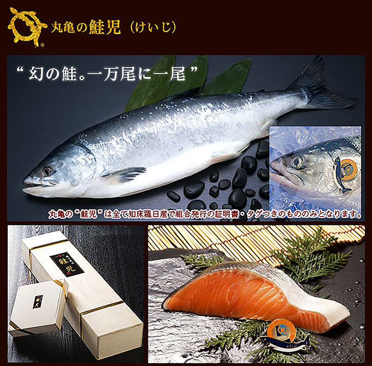 羅臼産鮭児～ケイジ～【数量限定】