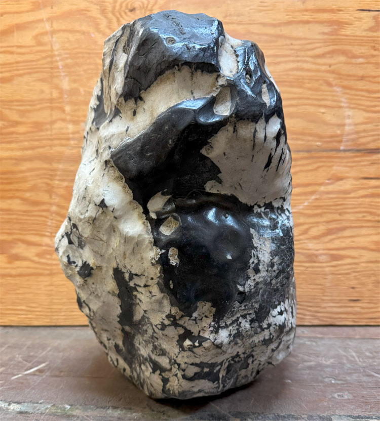 菊花石（きっかせき）の販売なら増樹です。