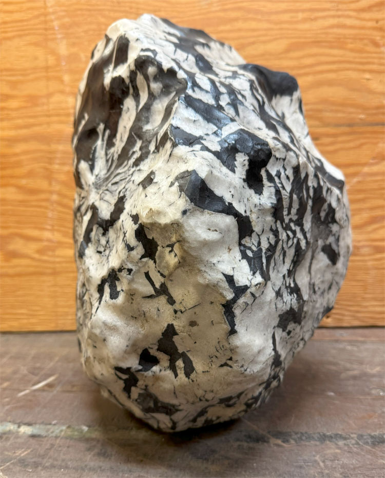 菊花石（きっかせき）の販売なら増樹です。