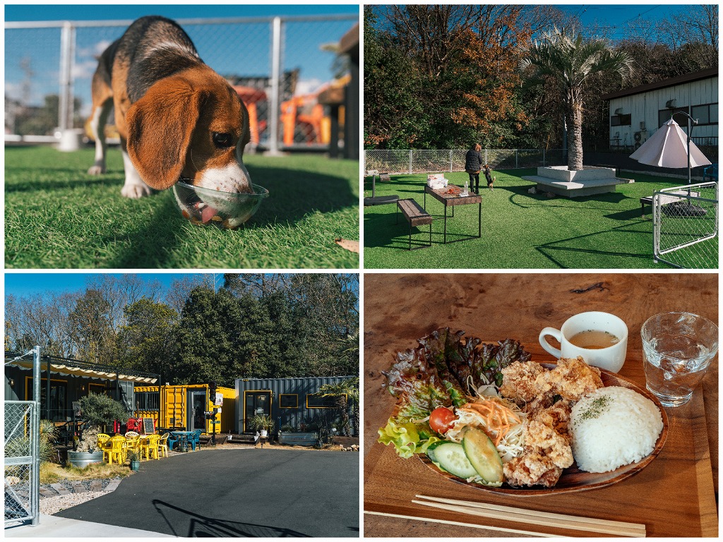 アメリカンな犬小屋(福岡県近郊限定)