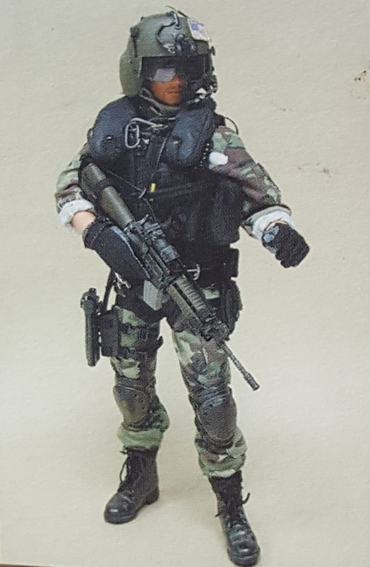 ホットトイズ US アーミー 160th SOAR ホットトイズ US アーミー 160th