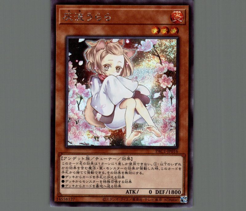 遊戯王 灰流うらら 絵違い25thシークレットレア2枚セット他座標違いうらら