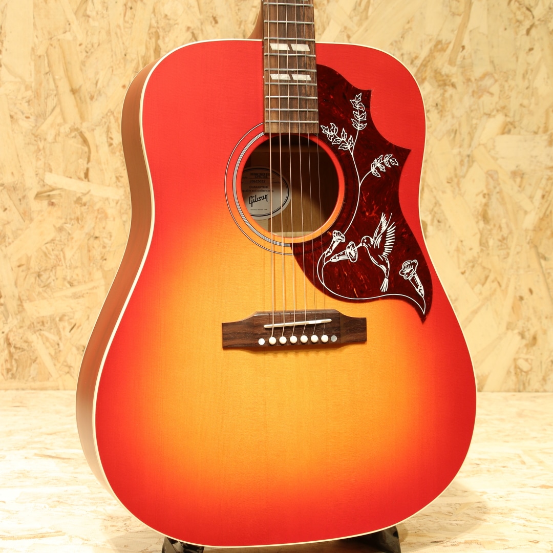 gloryz F-101 ハミングバードタイプ アコースティックギター中古