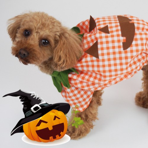 犬服ハンドメイドハロウィン確認②