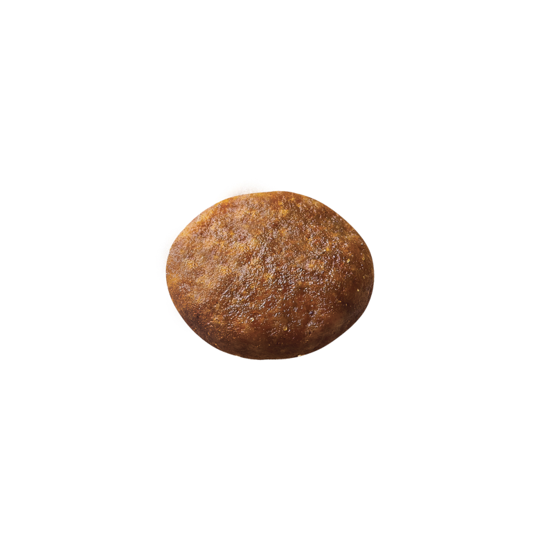 ニュートロ ワイルドレシピ 超小型犬〜小型犬用 成犬用 ビーフ 【送料