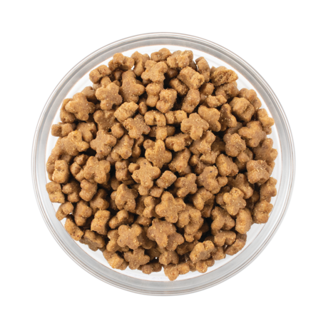 ナウフレッシュ グレインフリー スモールブリード フィッシュアダルト