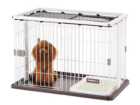 ボンビアルコン（Bonbi） ウッドワンサークル 【送料無料】｜みんなの