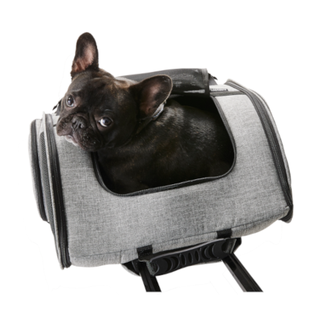 エアバギー AIRBUGGY Fitt エアバギーフィット 【送料無料】｜みんなの