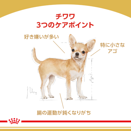 ロイヤルカナン BHN チワワ (成犬用)｜みんなのペット健康専門店