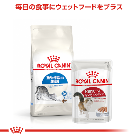 ロイヤルカナン FHN インドア（成猫用） 【送料無料】｜みんなのペット