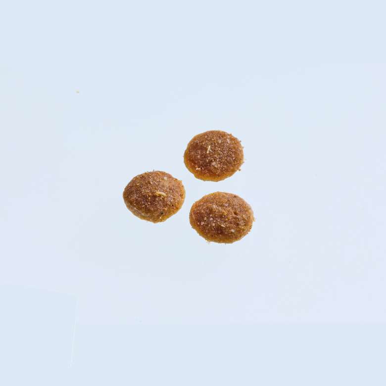 ニュートロ シュプレモ 子猫用 チキン＆サーモン 【送料無料