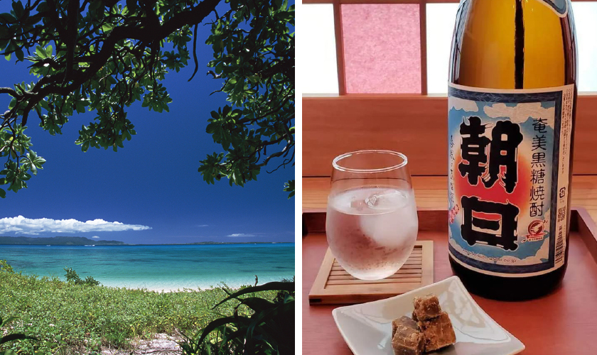 奄美 黒潮 黒糖 朝日酒造の正規販売店