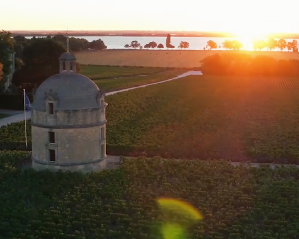 シャトー ラトゥール メドック格付け1級の通信販売 赤ワイン