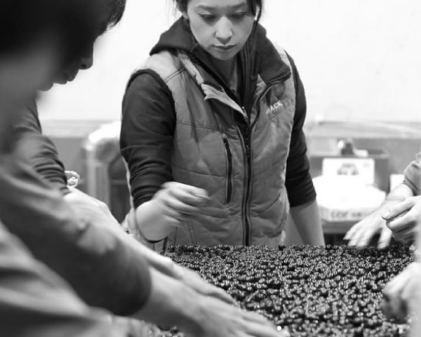 グレイスワイン 中央葡萄酒の正規販売店 通信販売FELICITY