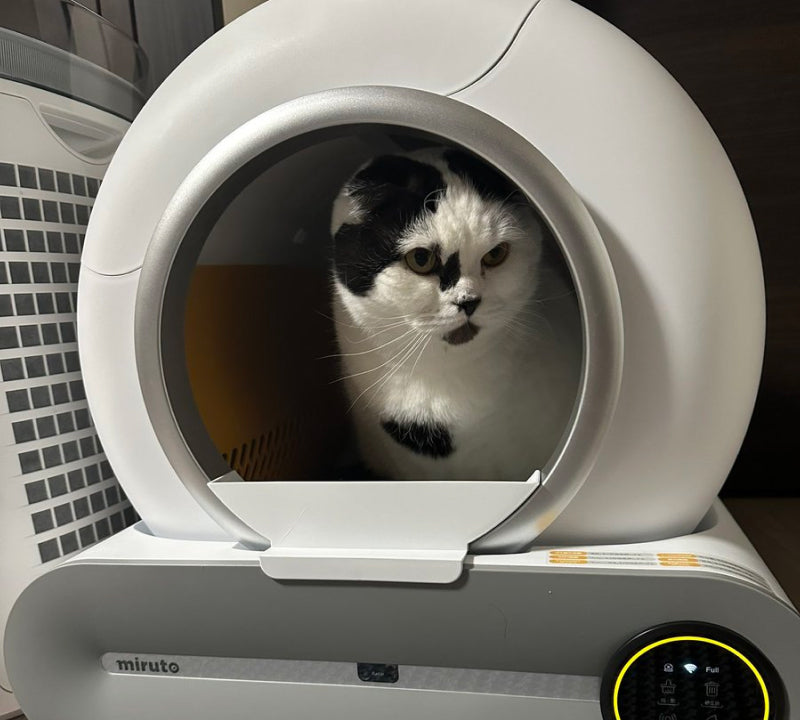 猫 自動トイレ MT-TOL-2 miruto 猫全自動トイレ miruto 全自動スマート