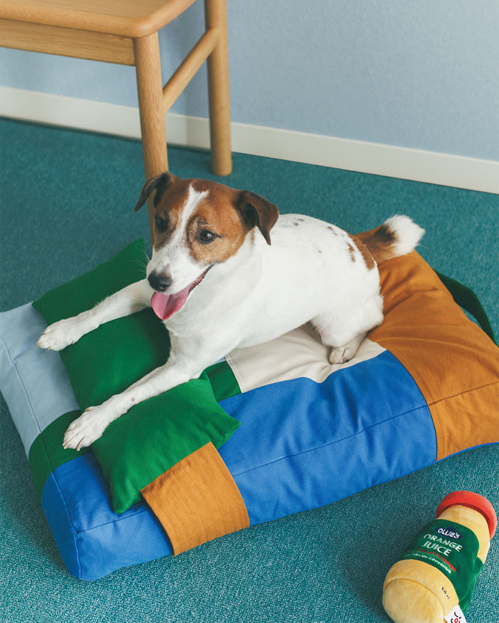 ペットとの暮らしを楽しくするアイテムを発売 | ニュース | 株式会社ミサワ