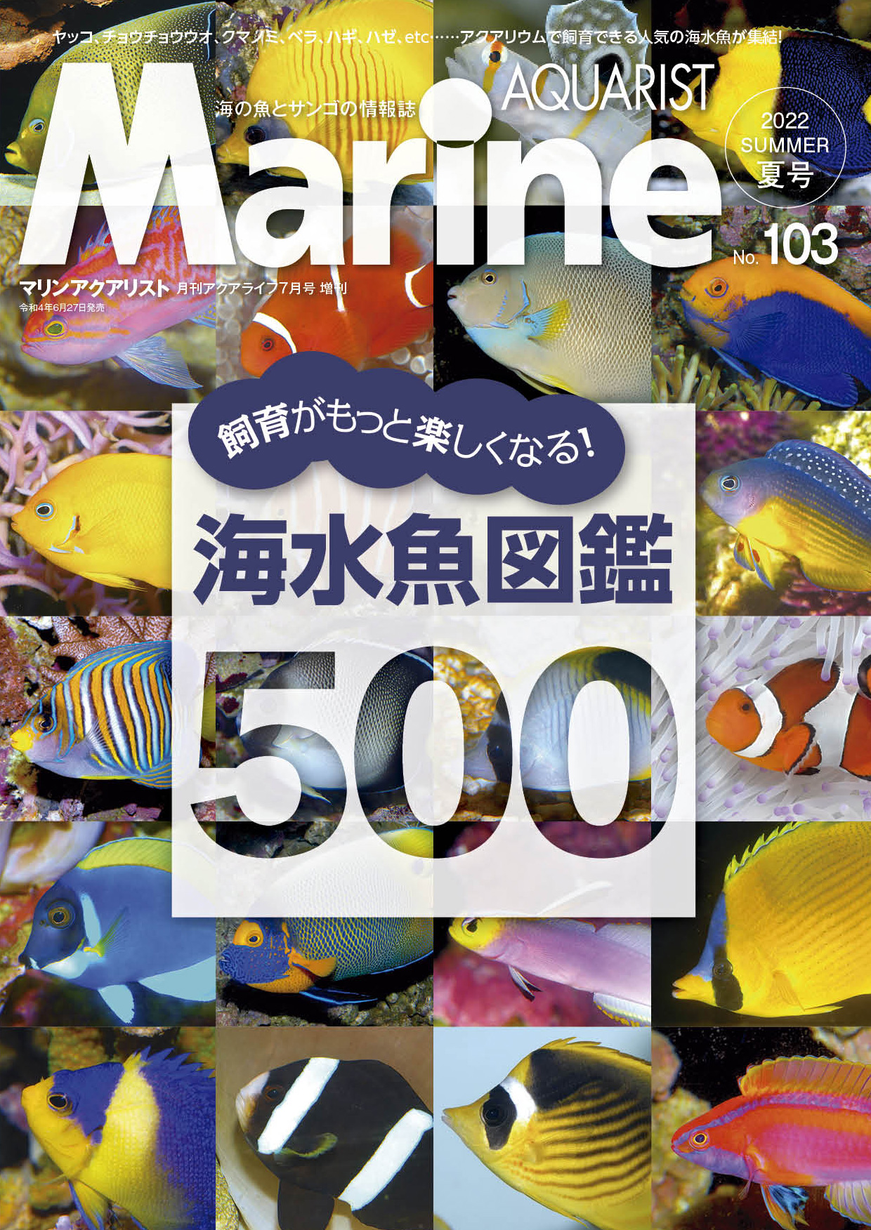 海水魚鑑賞 備品いろいろ（全品購入の方募集） 海水魚鑑賞 備品