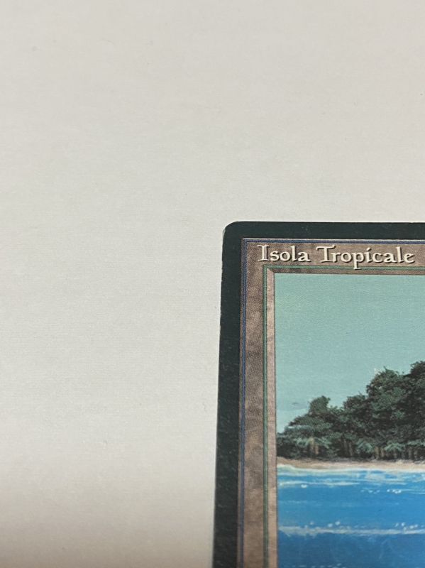 Tropical Island》FBB MP イタリア語 - MTG専門店 Initiative