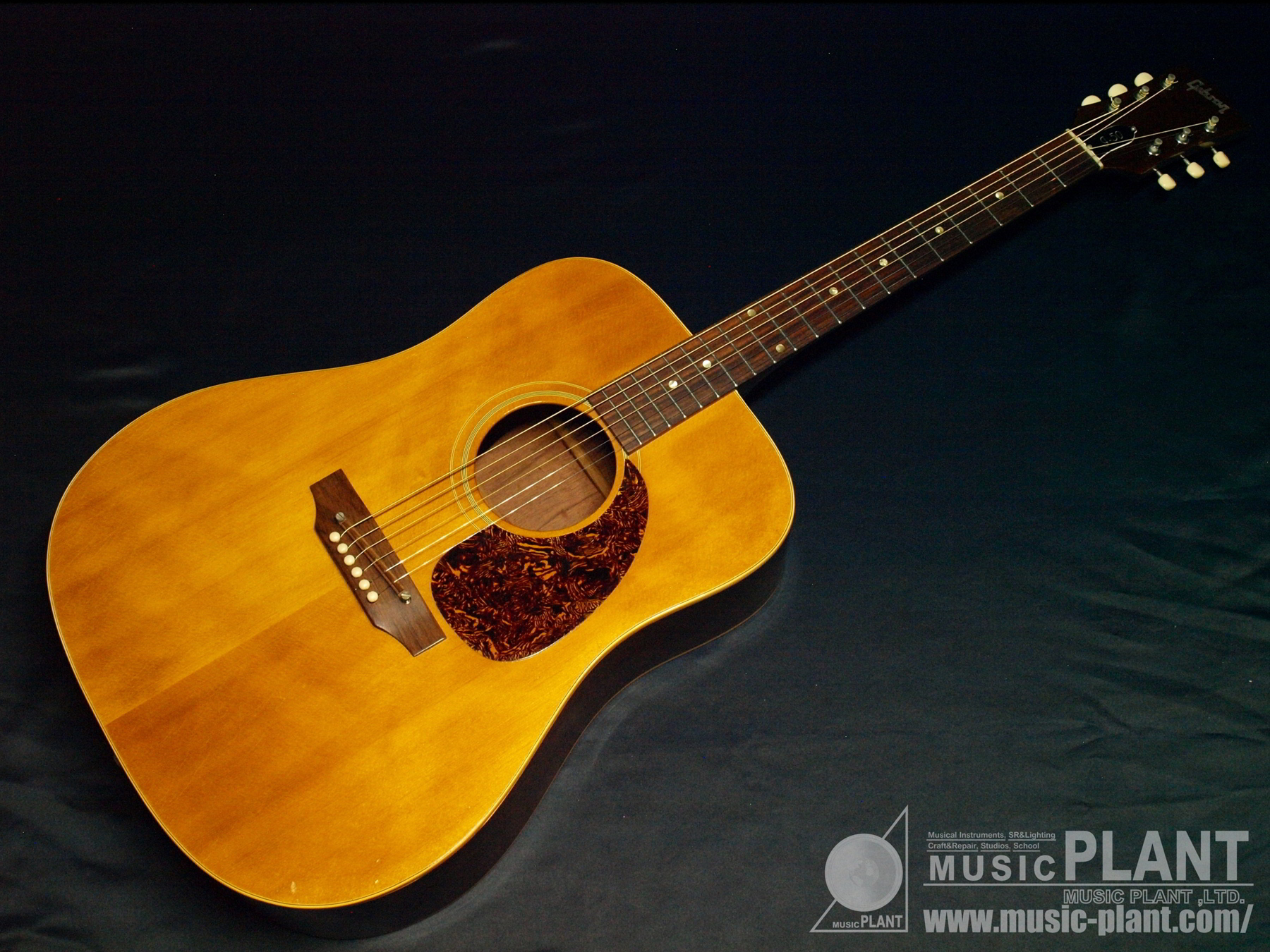 Gibson アコースティックギター J50 ハードケース付き Gibson