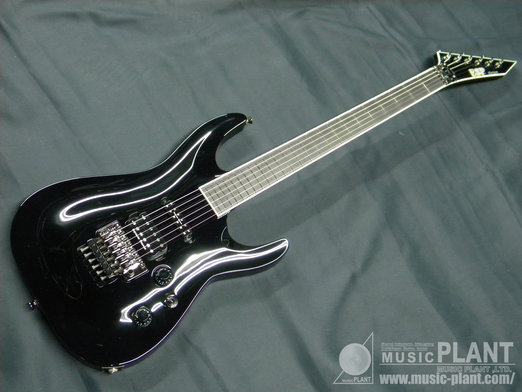 ESP Signatureシリーズ エレキギターHORIZON SGZ CUSTOM SUGIZO