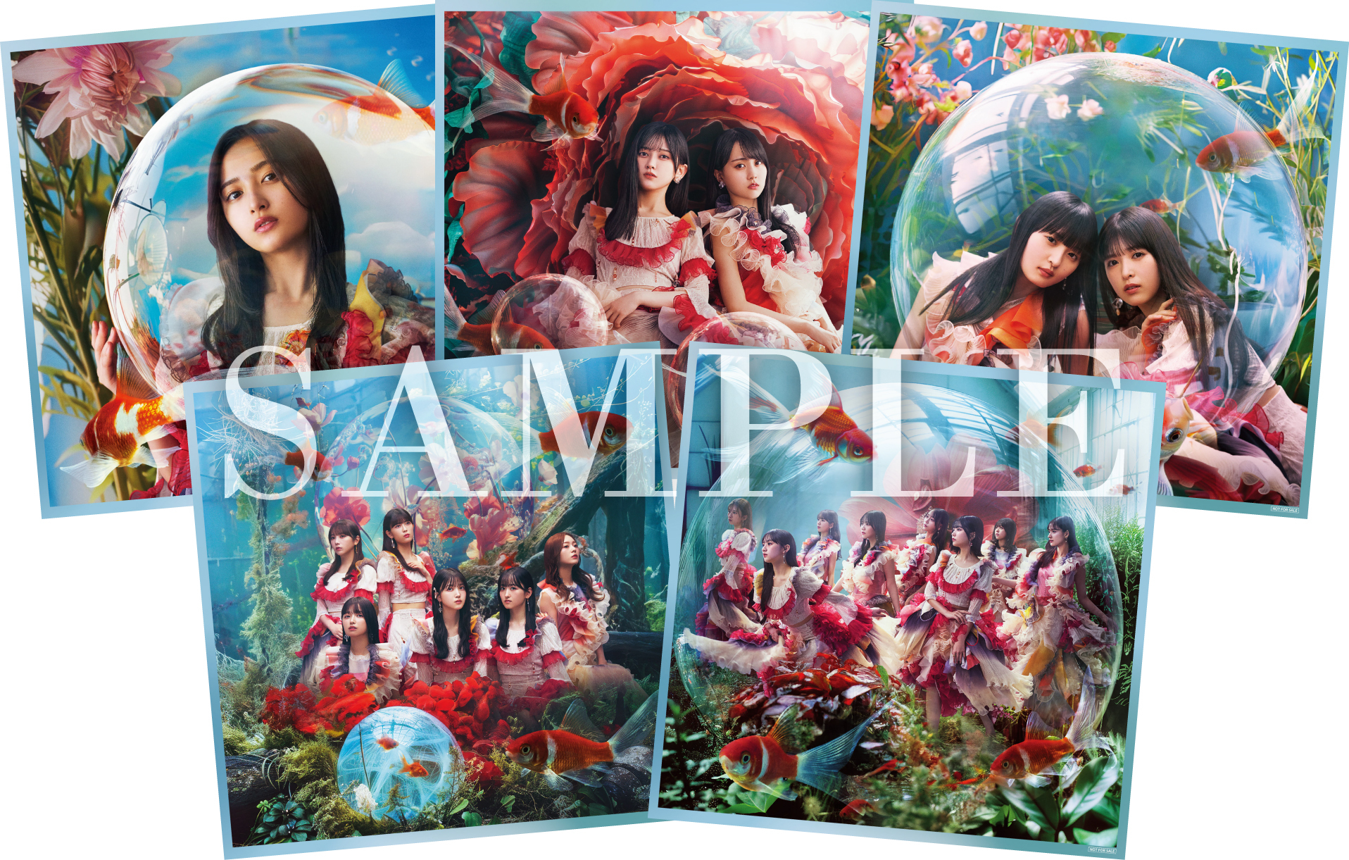 乃木坂46 個別ポスター 60枚 乃木坂46 OFFICIAL WEB SHOP | 乃木坂46