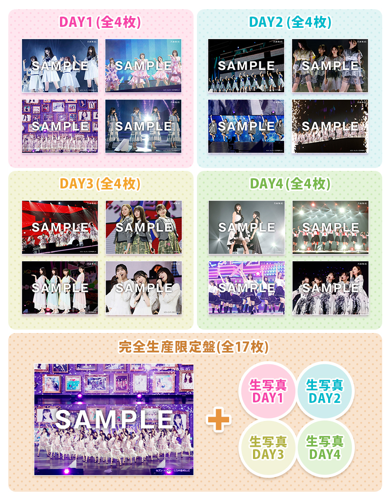 井上和 生写真 My respect アルバム 封入 4種コンプ 乃木坂46 井上和