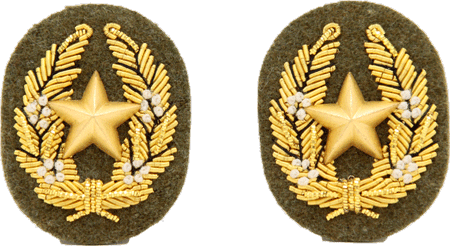 日本陸軍士官学校 特別徽章 / 九八式襟章 曹長実物 ミリタリーショップ