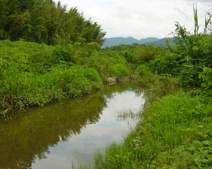 水圏生態学研究室HP｜奈良女子大学